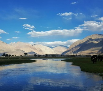 Offbeat ladakh